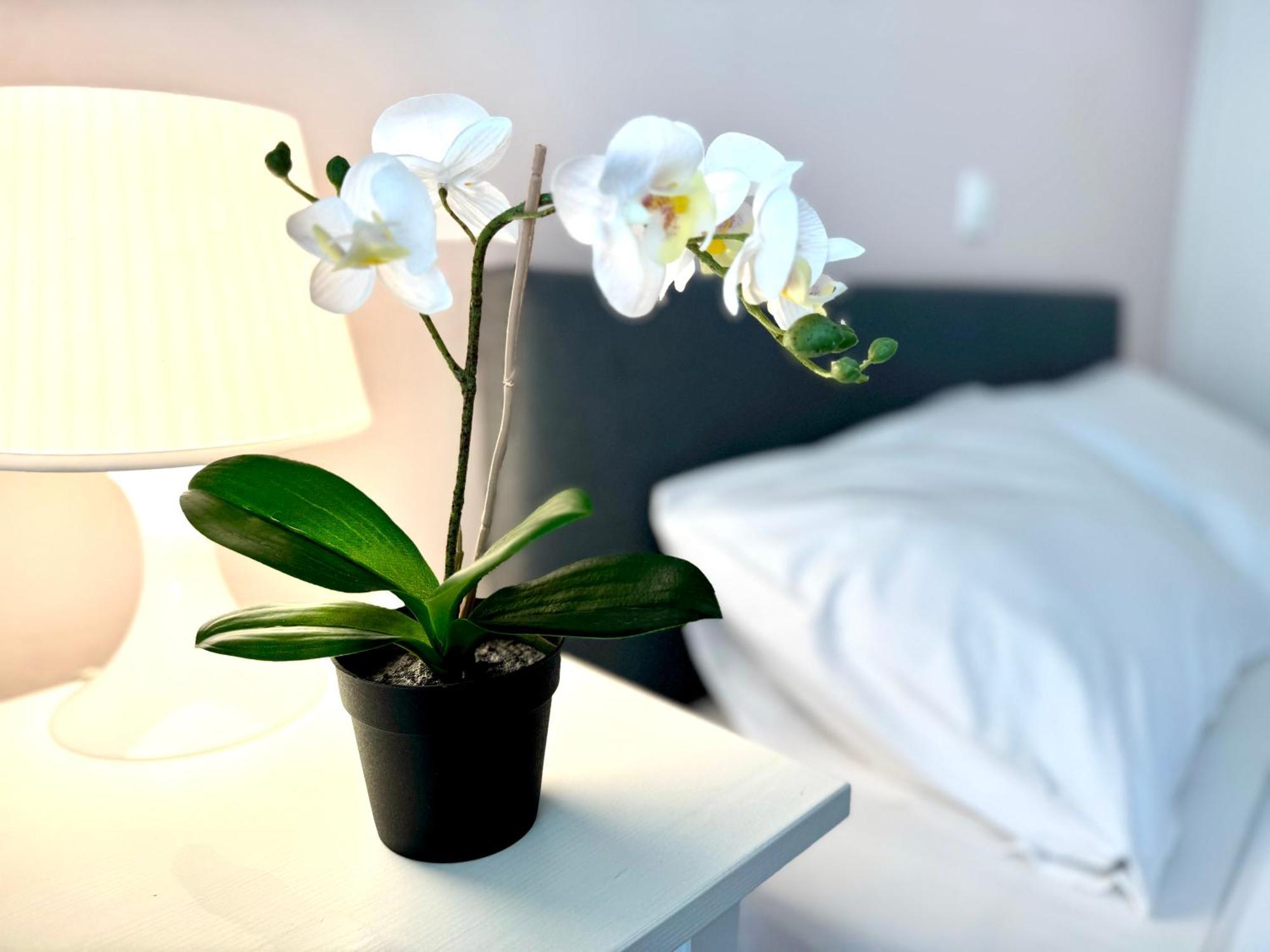 Sun Beach Apartment Anavyssos Eksteriør billede